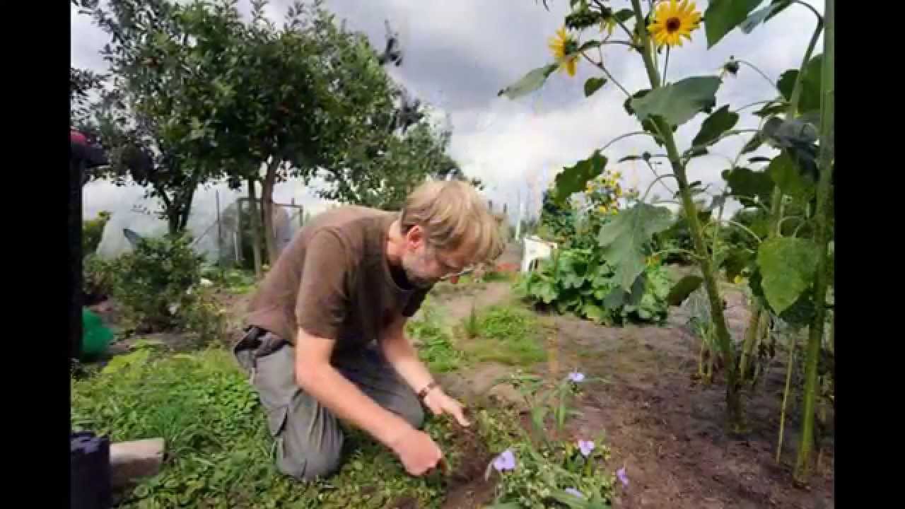 Tuinvereniging de verloren kost