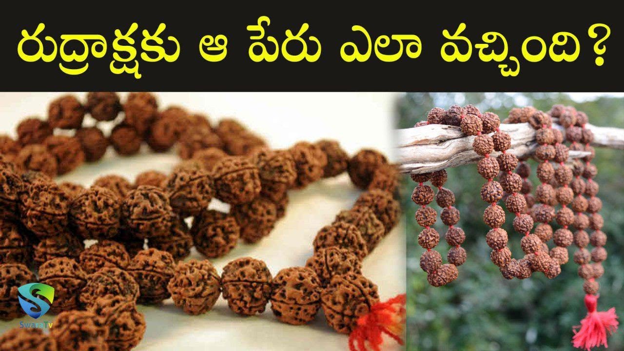 రుద్రాక్షకు ఆ పేరు ఎలా వచ్చిందో తెలుసా ? || Do you know how that name came to Rudraksha? || Swaratv