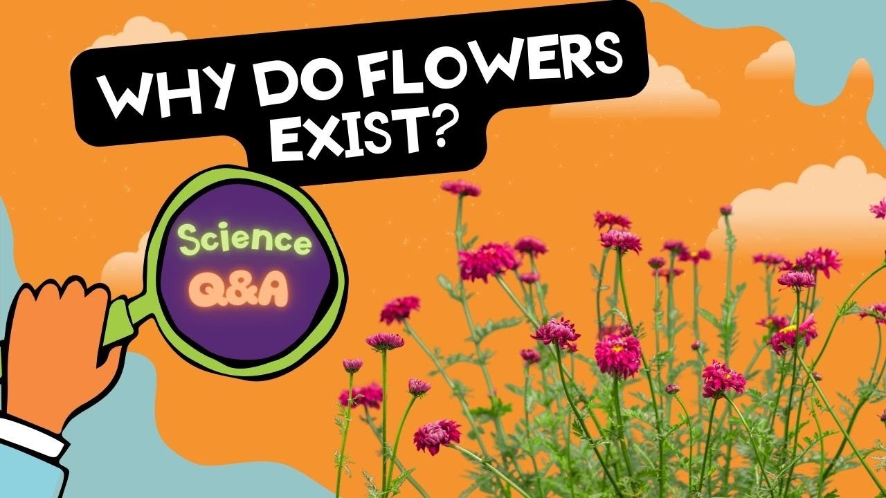 Why do flowers exist? And MORE kid questions | Tumble Science | Full Podcast Episode