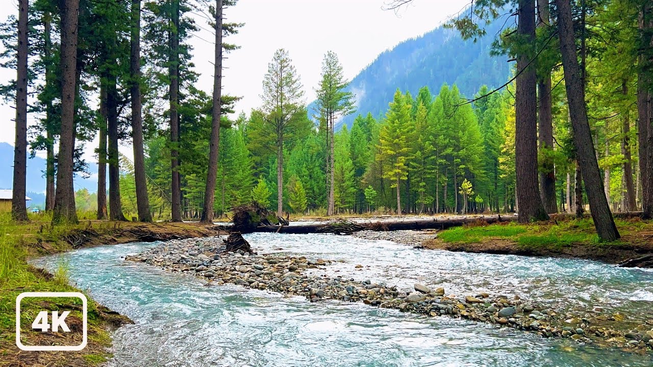 4K Emerald Forest River | Crystal Clear Mountain Stream  Relaxing Water Sounds for DeepSleep & Study