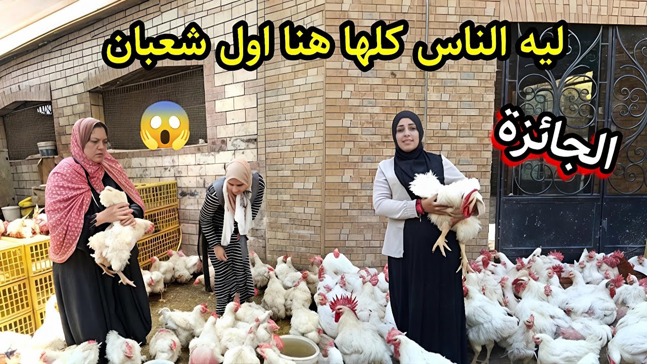 صدمة كبيرة 😱 هجوم الناس على سوق المرج اول شعبان 2026/ اسعار الفراخ والبط بنص التمن 💥