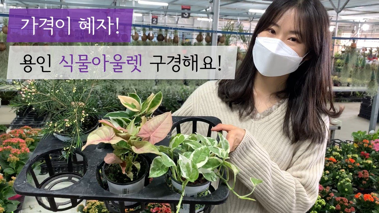 [🌳랜선 식물쇼핑] 남사 화훼단지! 예삐플라워 아울렛에 가자마자 설렘 폭발!? Flower market vlog