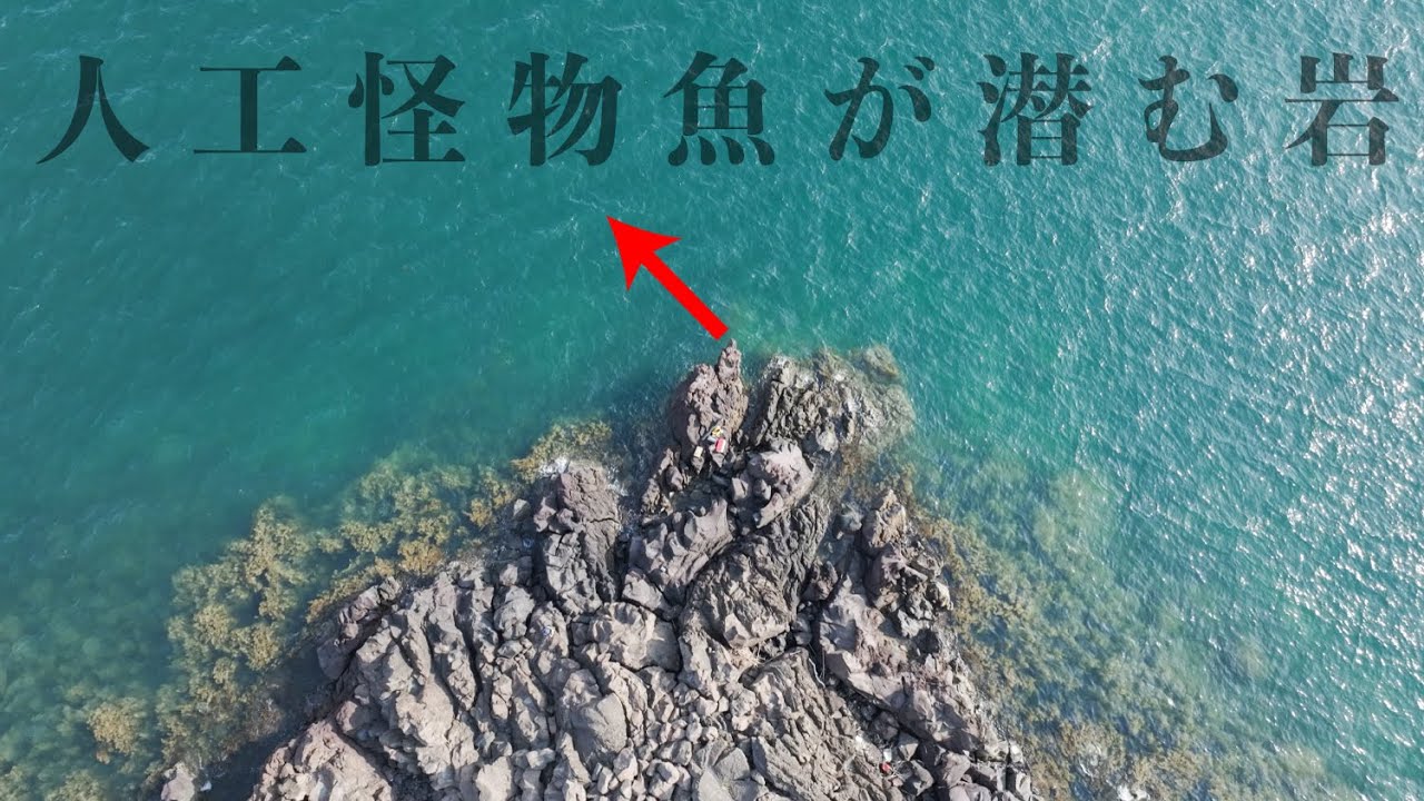 人類が生み出した獰猛な巨大魚”タマクエ”…大問題になった謎多き怪魚を追う2日間【日本一周九州編】