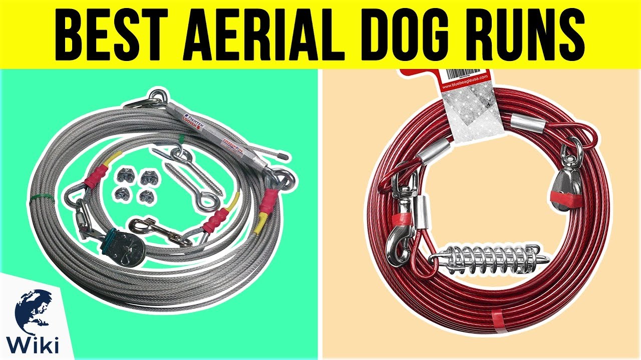 10 Best Aerial Dog Runs 2019