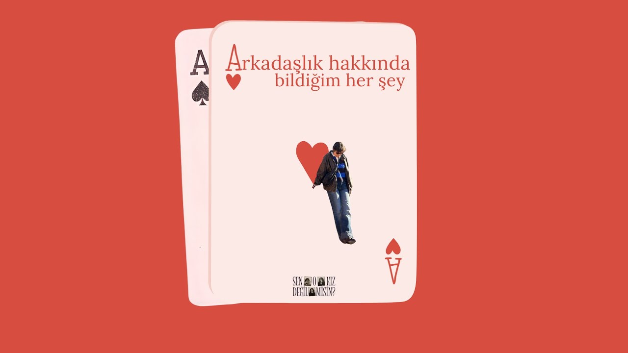 arkadaşlıklar hakkında bildiğim her şey