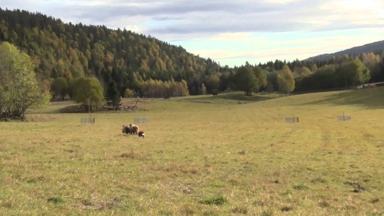 Kiter fylkesmesterskap klasse 2 2013
