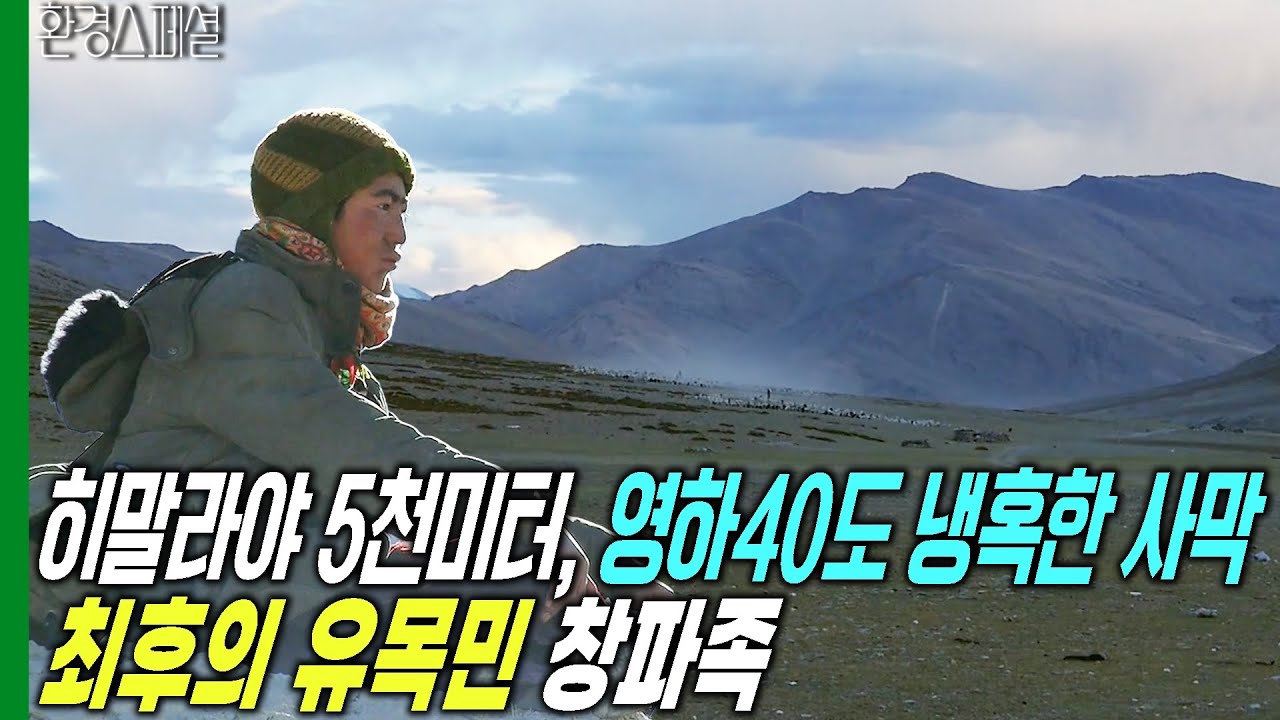 영하 40도 히말라야 5천미터 냉혹한 사막을 지키는 지구 최후의 유목민 창파족 [KBS파노라마-히말라야인 3편 천상의 길, 창탕] / KBS 20140418 방송