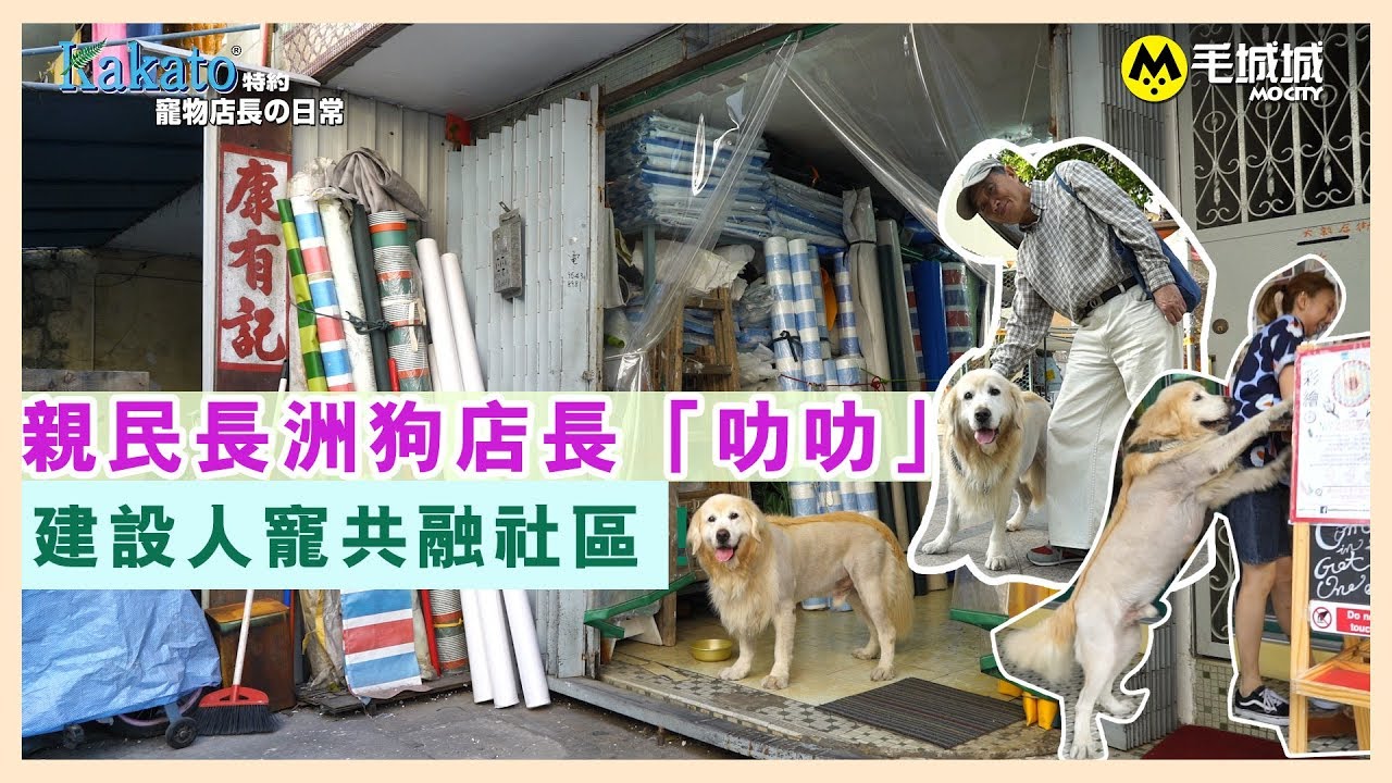 【Kakato 特約 寵物店長之日常】 親民長洲狗店長「叻叻」 建設人寵共融社區！
