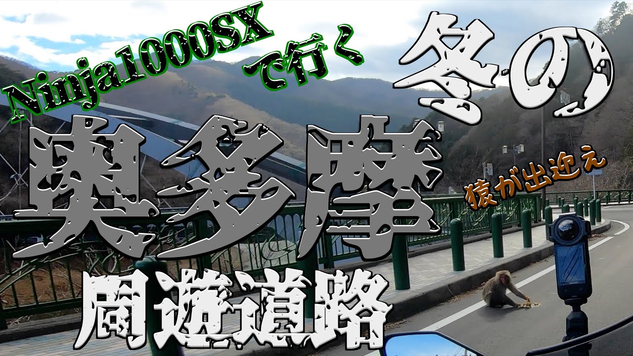 【Motovlog】冬の奥多摩周遊道路【Ninja1000SX】