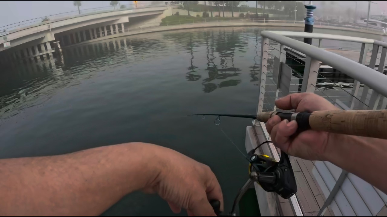 Fishing NH: Spotted bay bass catch and releases