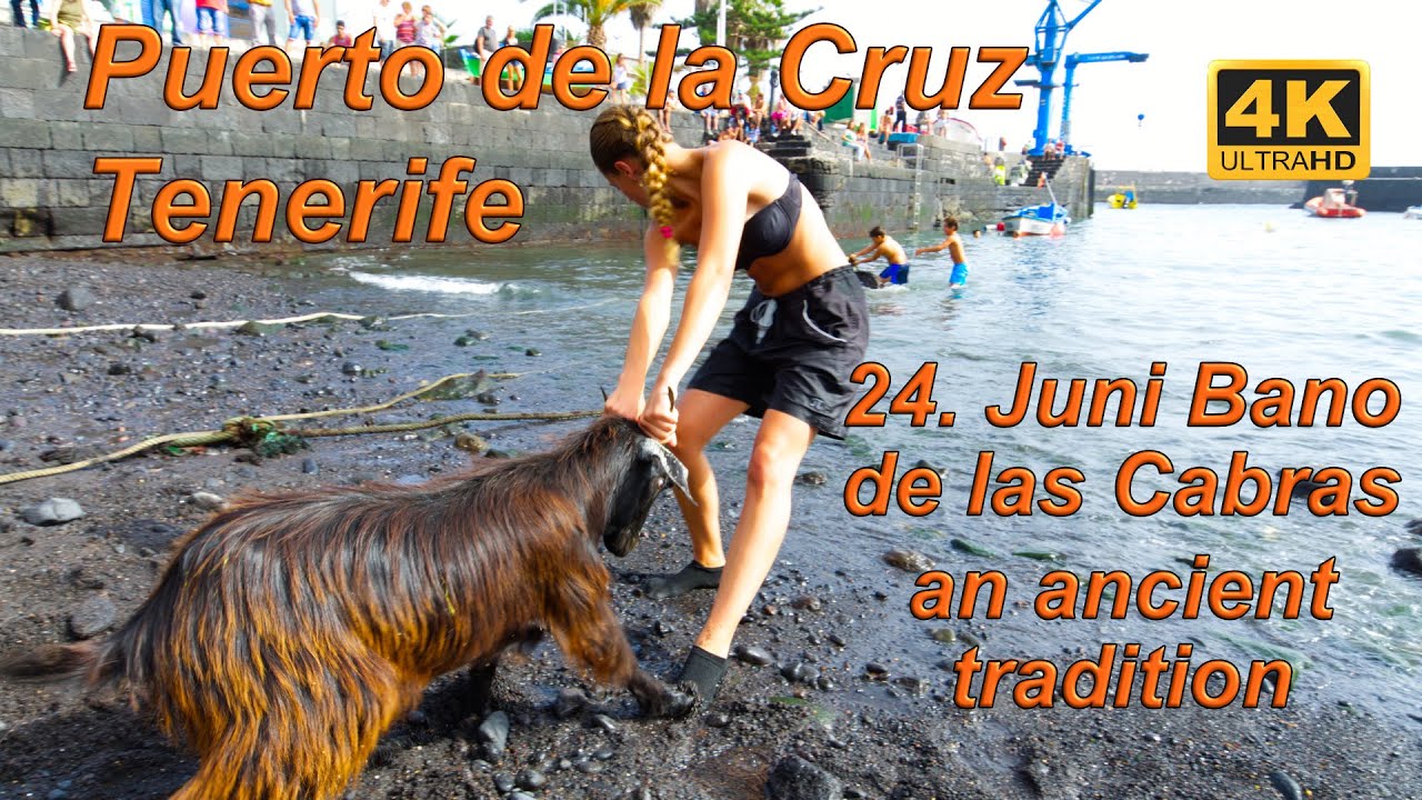 PUERTO DE LA CRUZ - TENERIFE – Bano de las Cabras ein uralter Brauch der Guanchen, 4K Video.