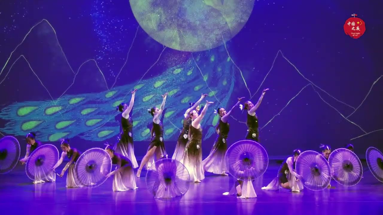 2025《中国之夜》舞蹈“傣”华蕊艺术团