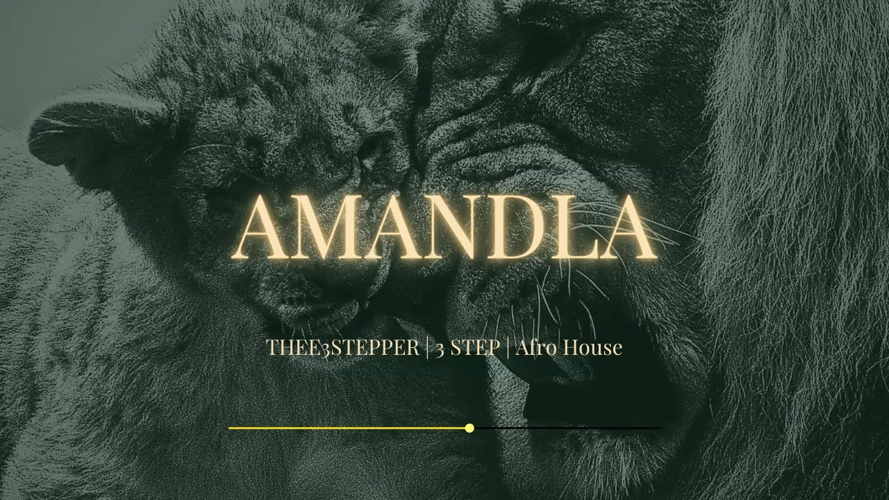 MaWhoo & Babalwa M - AMANDLA (ft Jazzworx, Young Stunna, Thukuthela, Sykes) | 3 Step Type Beat 2026