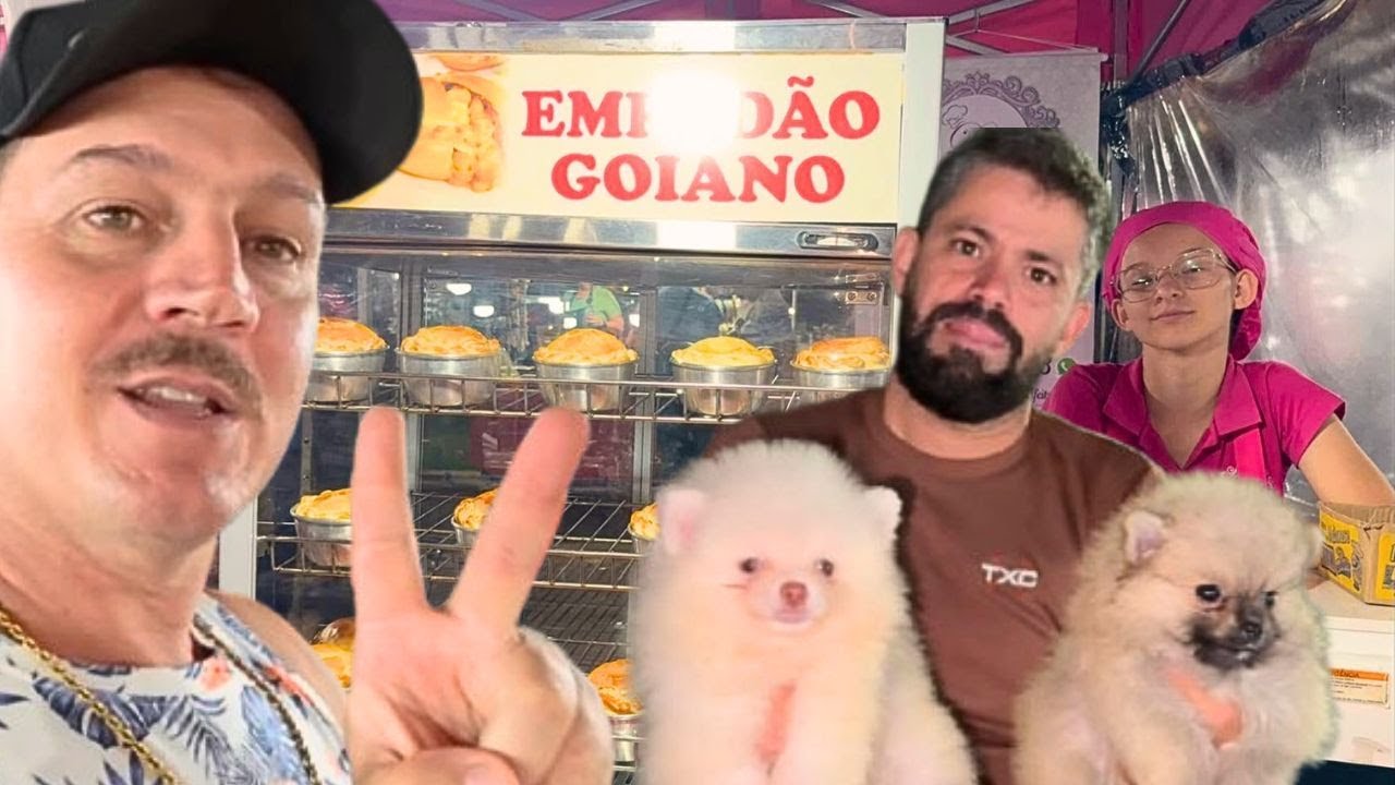 FEIRA DA LUA - GOI&Acirc;NIA - GOI&Aacute;S