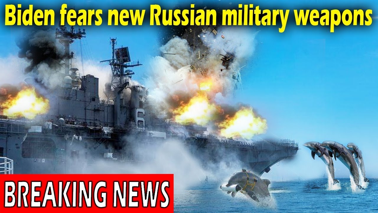 [Military News] Secrets of the Russian Navy deploying battle seals and dolphins. Biden is worried