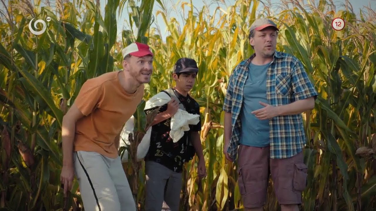 Barani opäť kradli kukuricu (PRÁZDNINY)