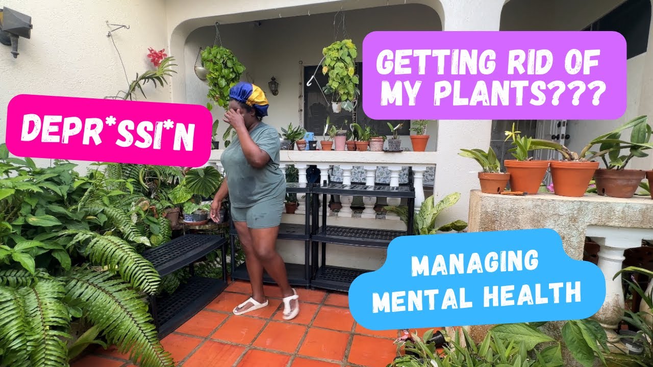 PART 1: Houseplants and Depression??? HELP!