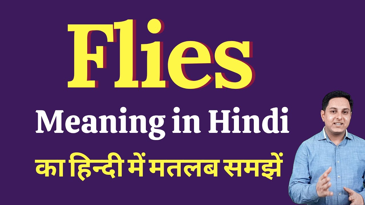 Flies meaning in Hindi | Flies ka kya matlab hota hai | Spoken English Class
