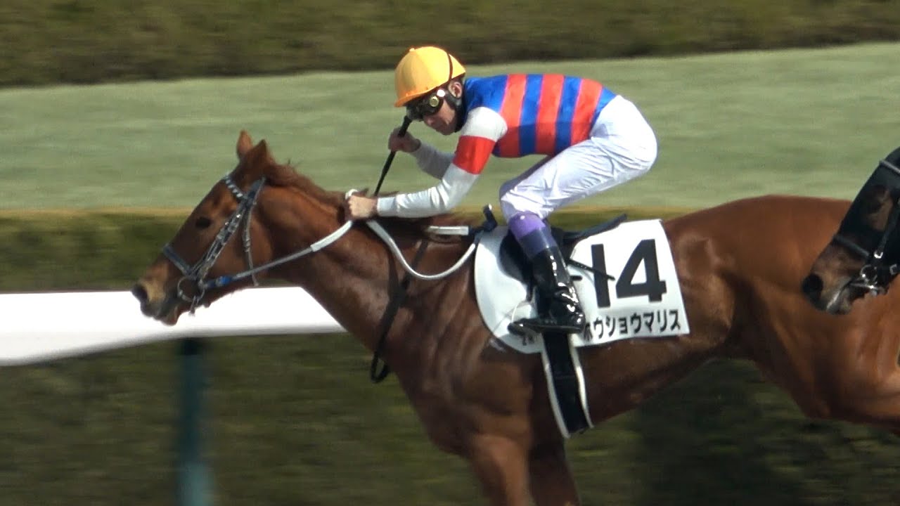 【武豊】シン阪神競馬場で定年引退の河内師との兄弟弟子コンビ勝利のガッツポーズ 現地映像