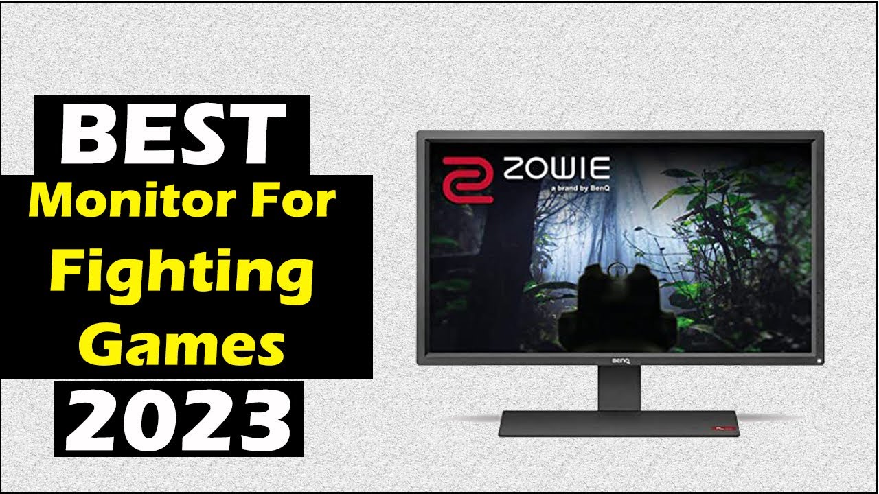 Best monitor for fighting games 2023