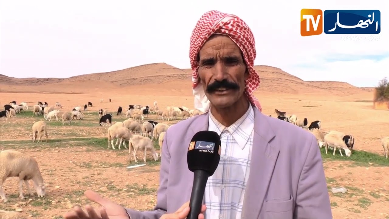 الجلفة: الموالون يدقون ناقوص الخطر بسبب تراجع المساحات الرعوية