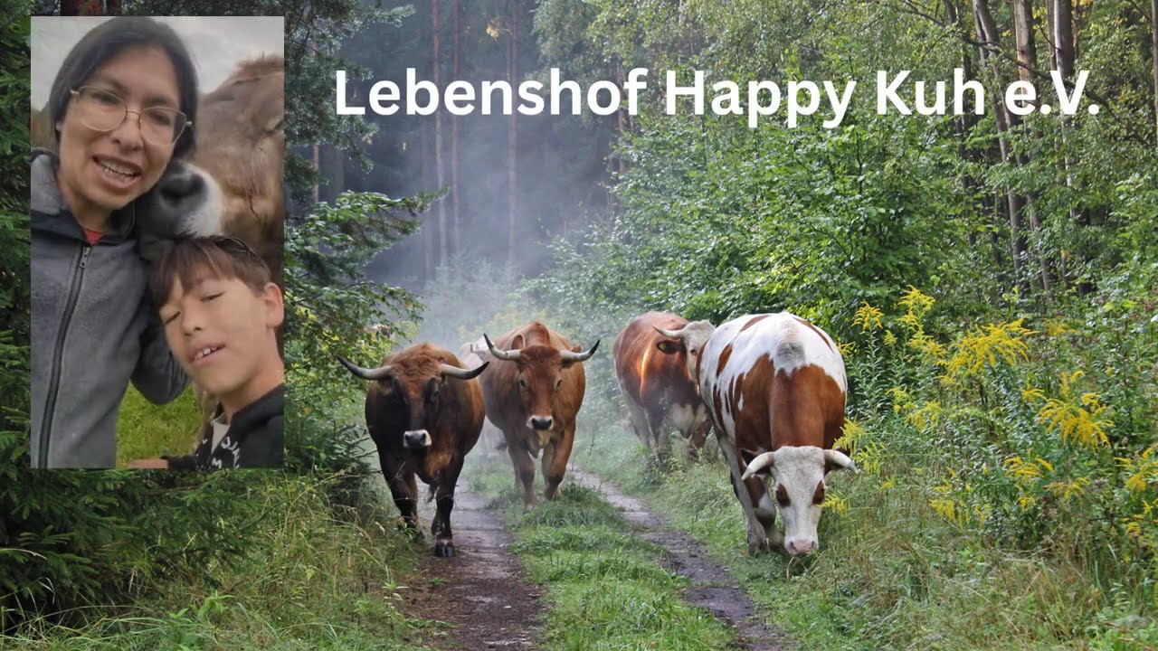 #MissionTierschutz - Happy Kuh e.V. - Kuhfamilie braucht dringend ein neues Zuhause 💔🐮