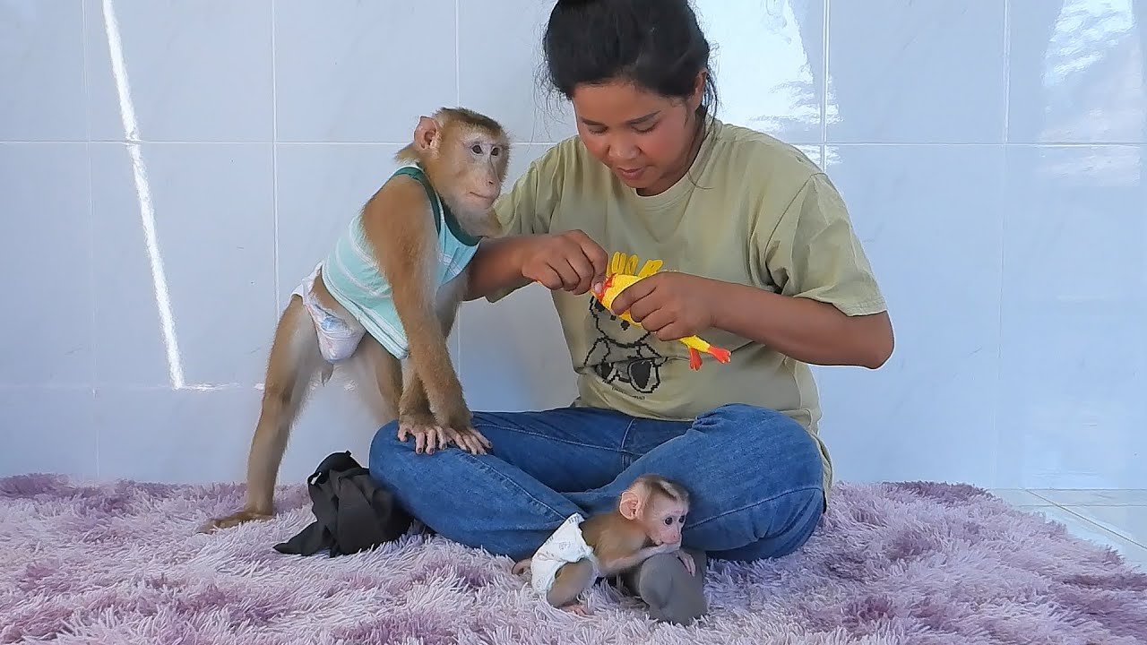 Adorable Olly With Tiny Valen Happy Playing Chicken Toy