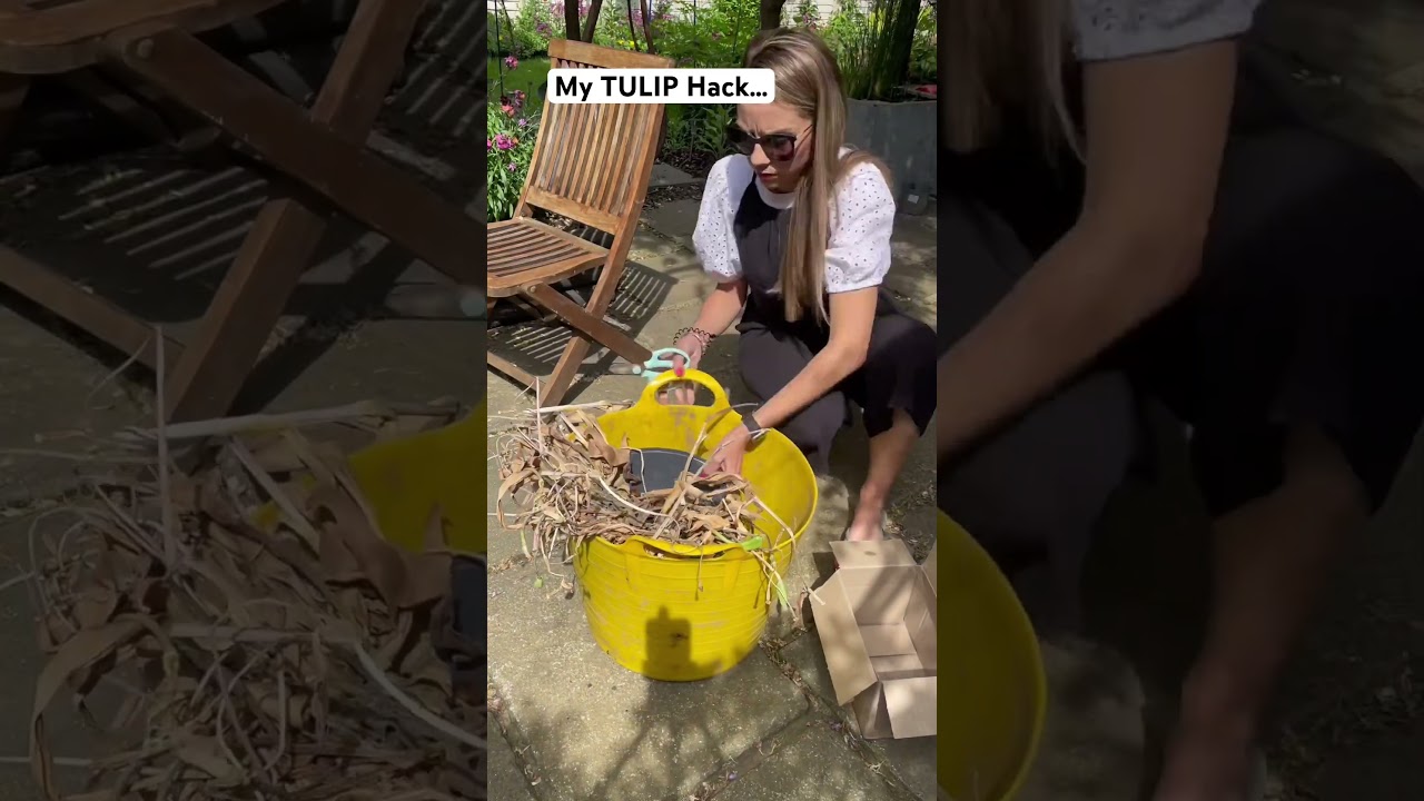 My TULIP Hack&hellip; #gardening #beginninggardening #gardendesign #garden #gardenideas