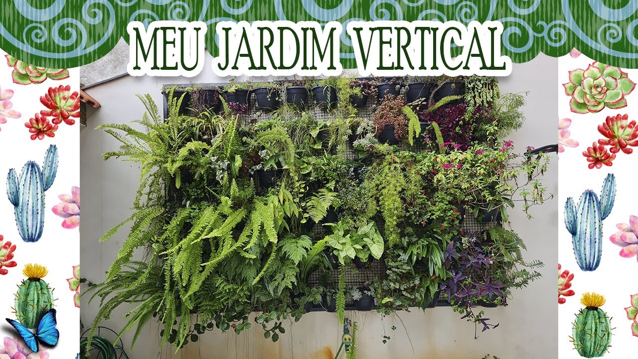MEU JARDIM VERTICAL | ATUALIZAÇÃO