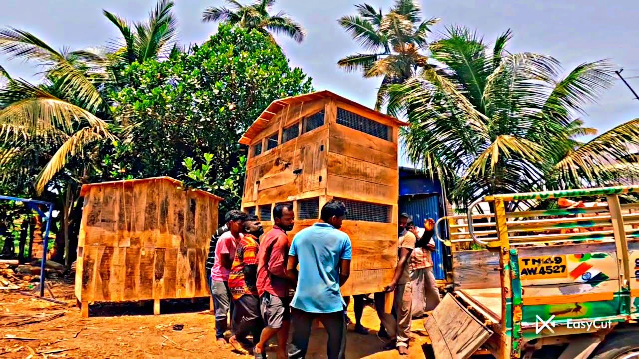 கோழிப்பட்டி விற்பனைக்கு உள்ளது சபரி ராஜா பட்டுக்கோட்டை 🤙8072635013