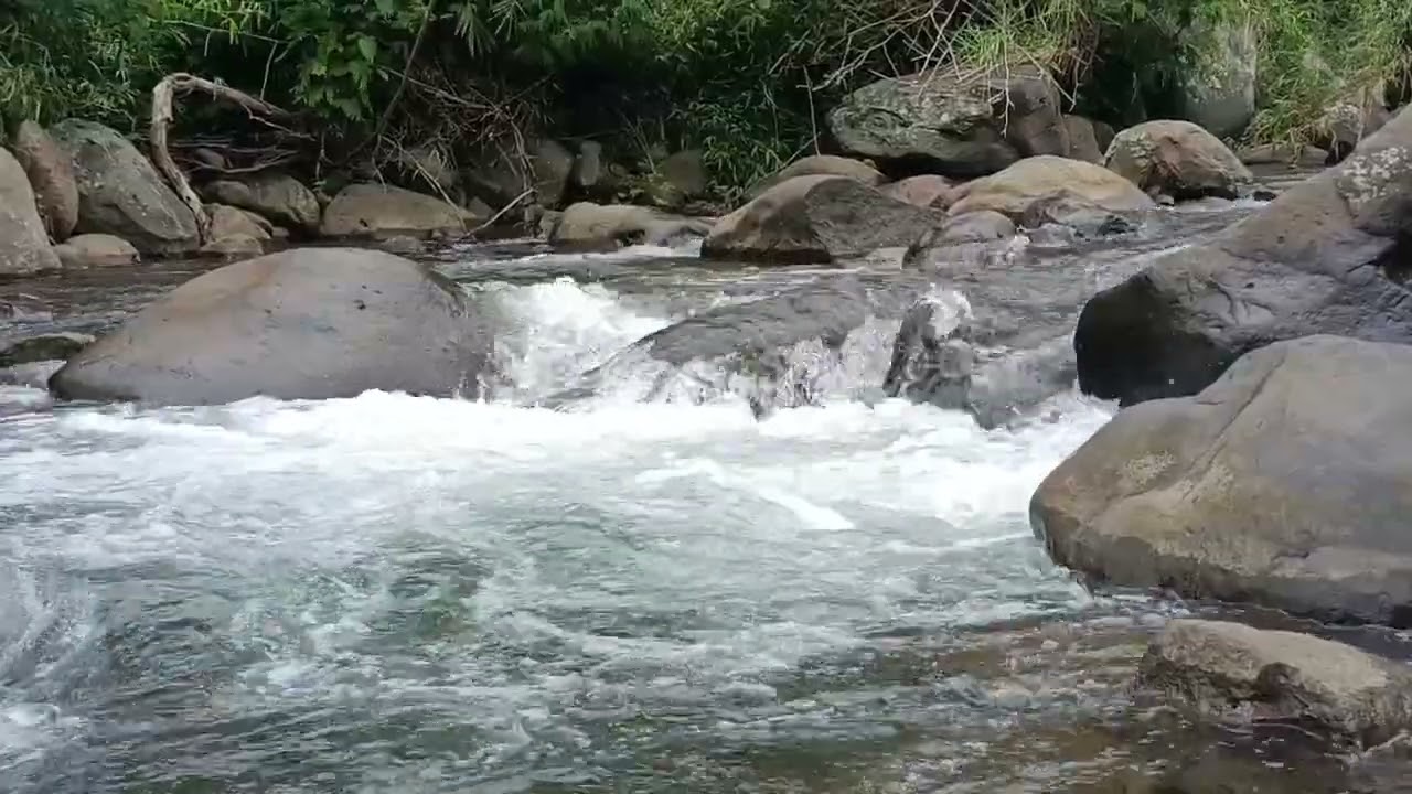 Wild Alpine River Roaming Through The Valley | Real Nature Audio