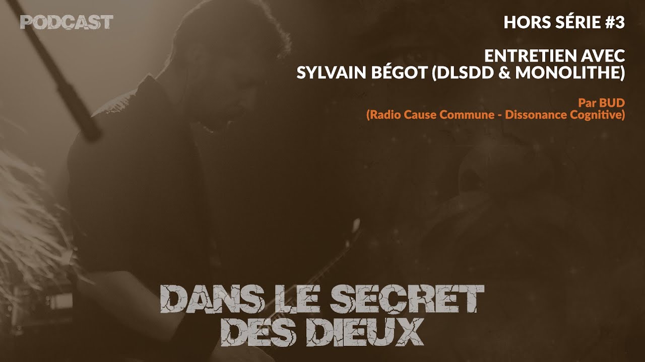 DLSDD | HS#3 | Entretien avec Sylvain Bégot (DLSDD & MONOLITHE) par Bud