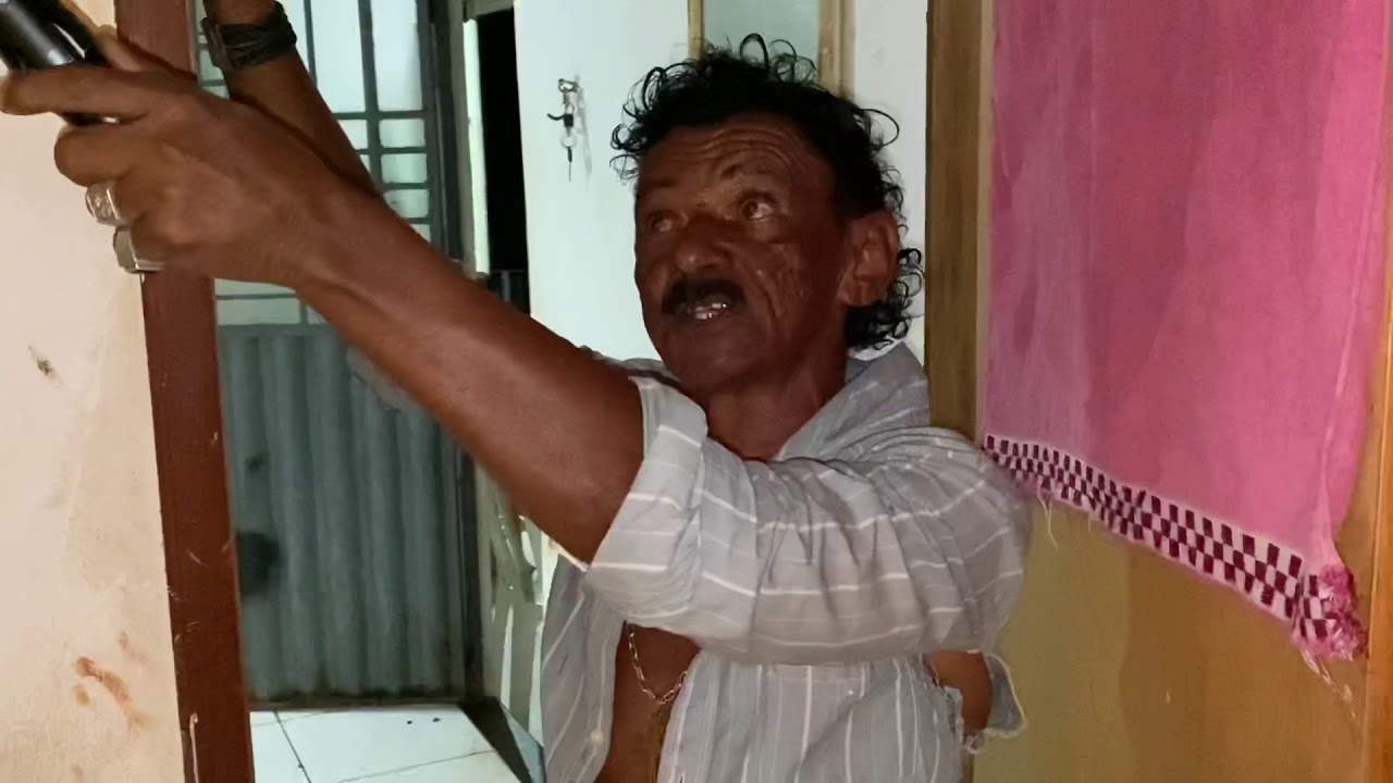 O ATAQUE DAS ABELHAS | PESCARIA NA CHÁCARA (FINAL) | COMÉDIA SELVAGEM ®