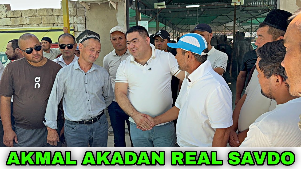 OSIYO AVTO AKMAL AKADAN REAL SAVDO. TOG&rsquo;A BILAN SAVDO QIZIQ BO&rsquo;LDI BUGUNGI NARXLARI