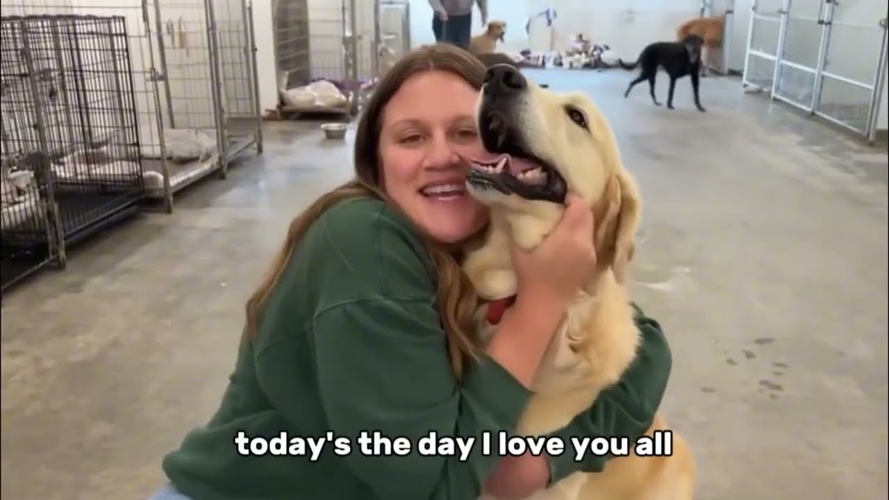 Every Dog Walked Past Everyone… Until This Moment - Adoption Moments