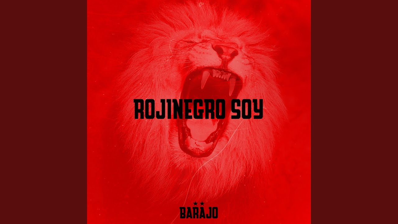 Rojinegro Soy