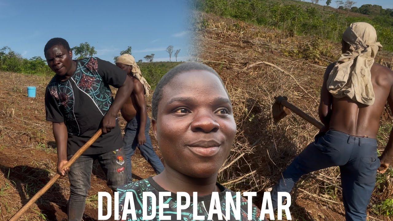 Dia de Plantio: Milho, Abóbora, Berinjela e Melancia na Machamba