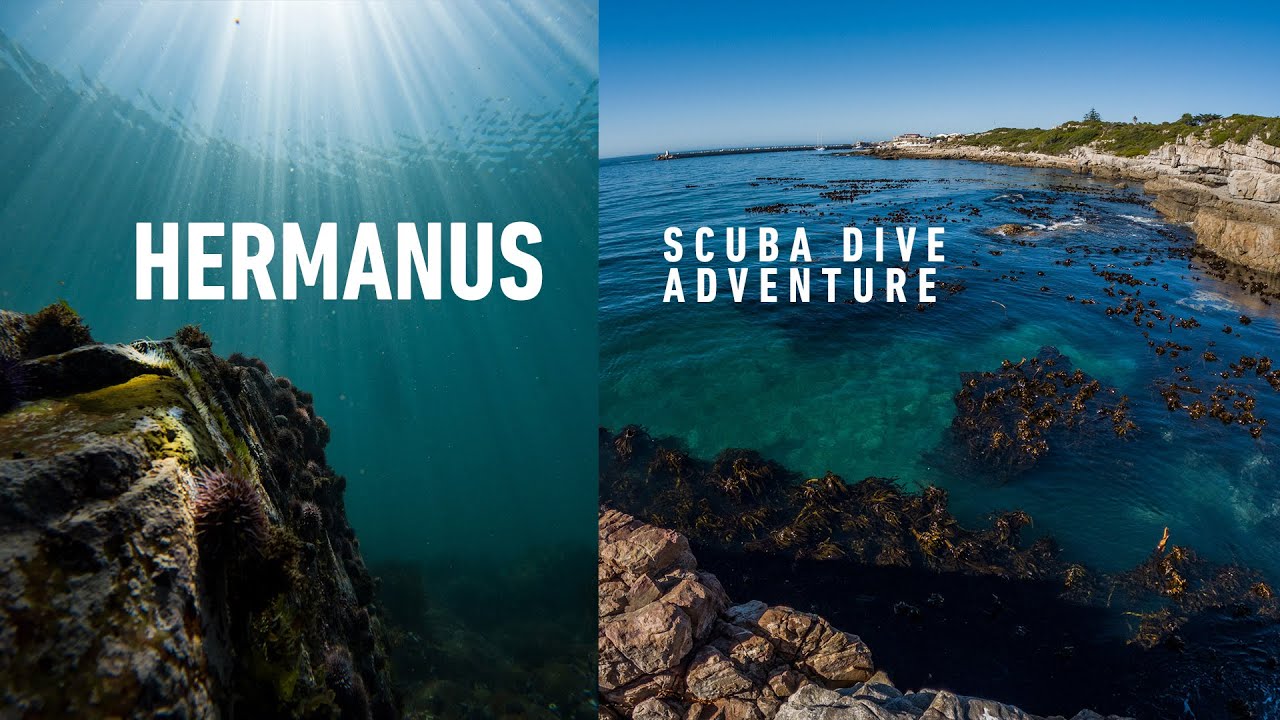 Scuba Dive Hermanus Adventure with Shark. Apeks & Aqualung gear using ThermiQ 8/7 and Exotec BC
