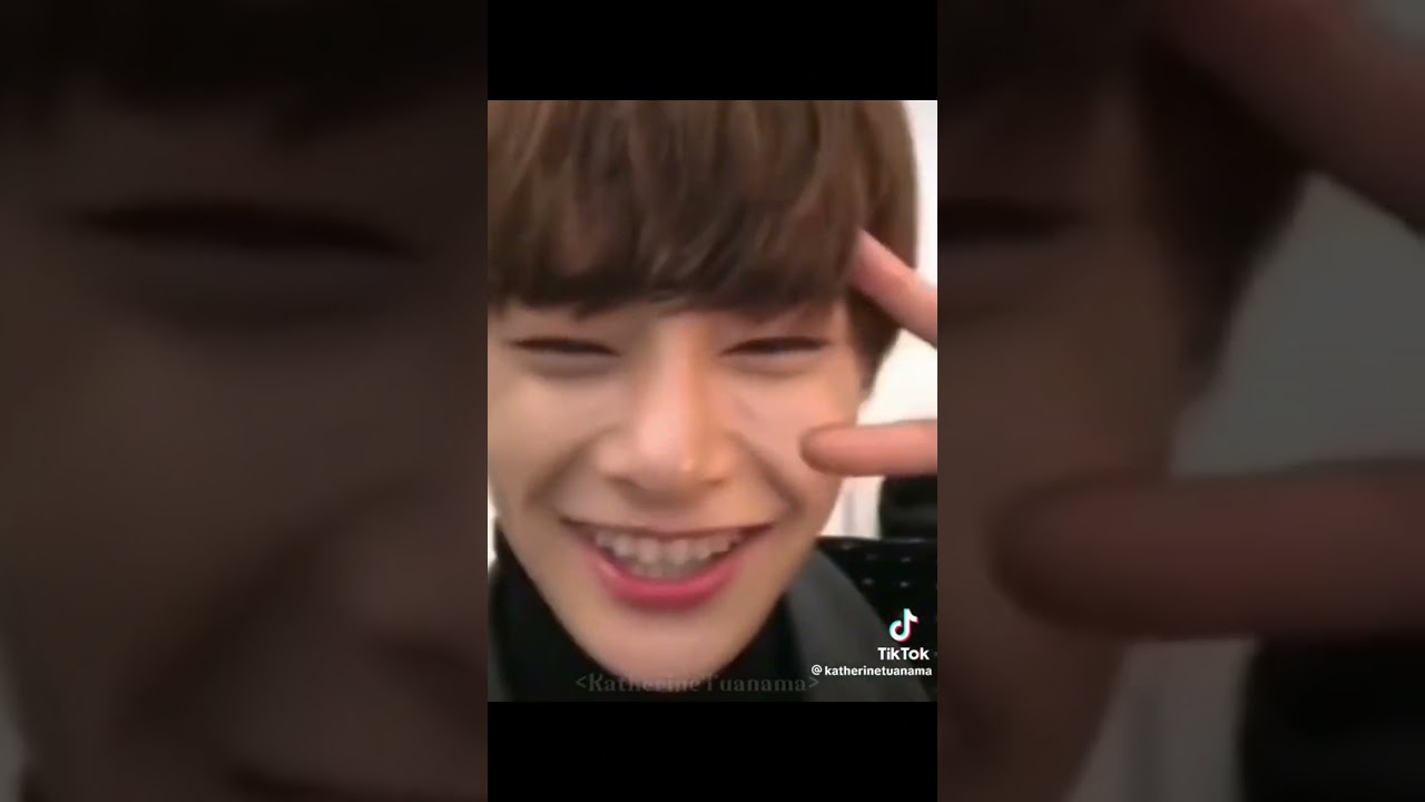 Stray kids TikTok compilation for @MtfPlug2