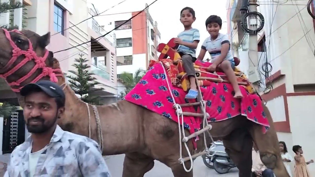 Okka ride entho thelusthe shock autharu #camel ride #ride#views