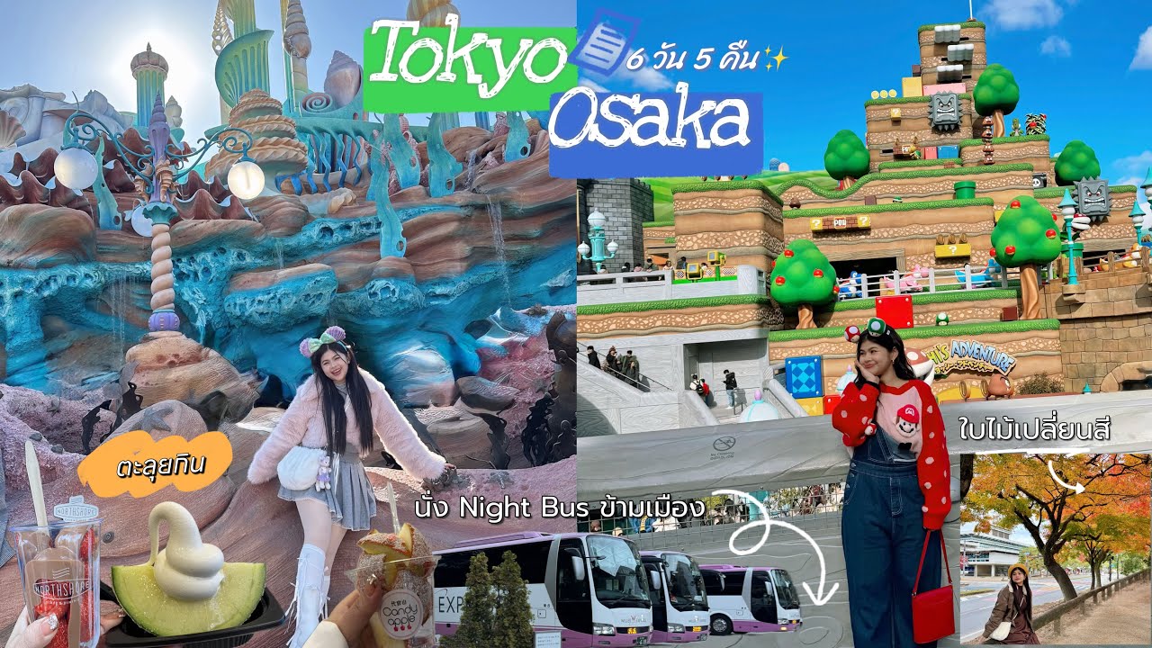 Vlog Japan 2024 | เที่ยวโตเกียว โอซาก้า 6 วัน 5 คืน | Disney Sea | USJ | ชมใบไม้เปลี่ยนสี 🍁