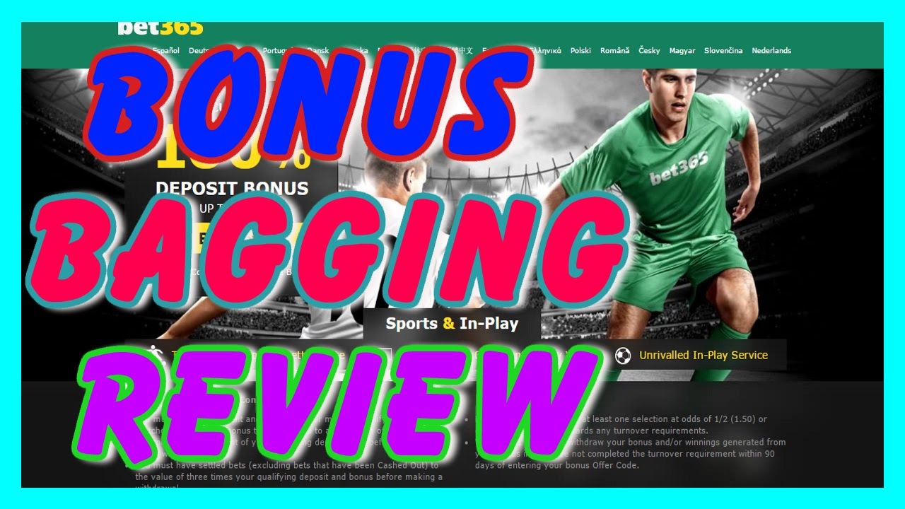 Bonus Bagging Review - Can You Make Money?