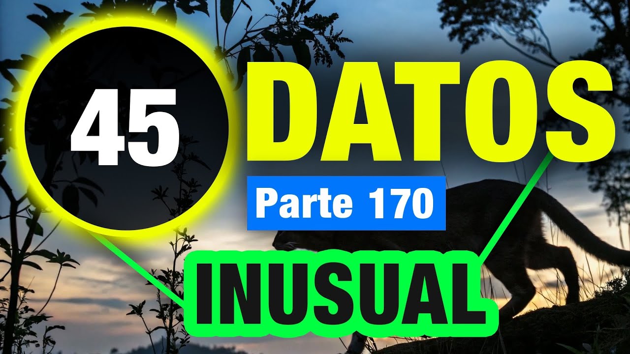 45 Datos Sensacionales Que No Sab&iacute;as