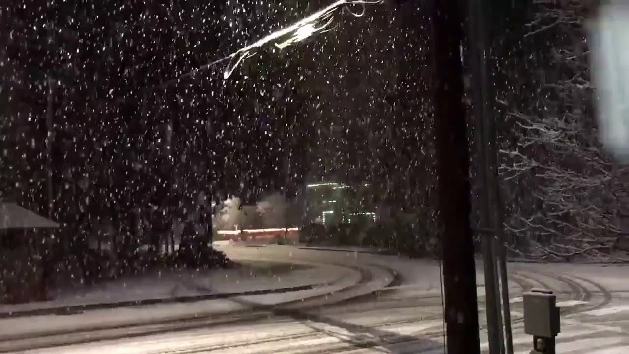 Steady Snow Falls on Winter Solstice in Washington State