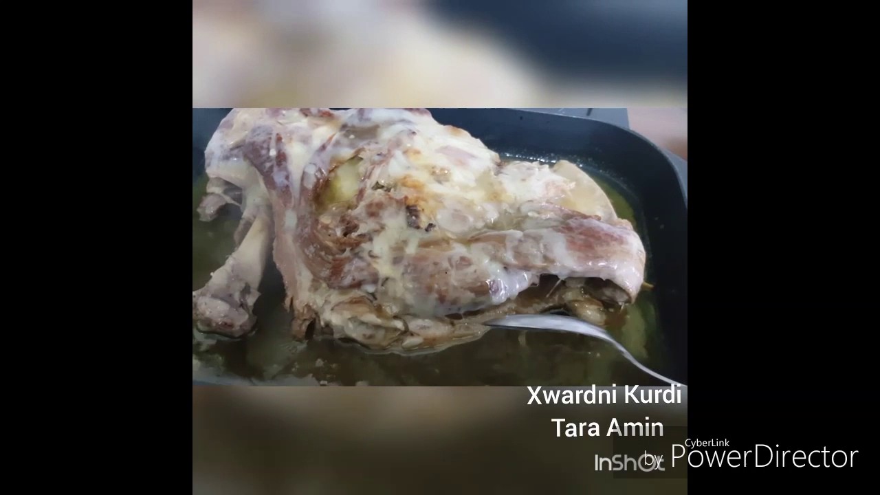 Xwardni Kurdi Tara Amin chonyati lenani dasti haiwan ba saxi