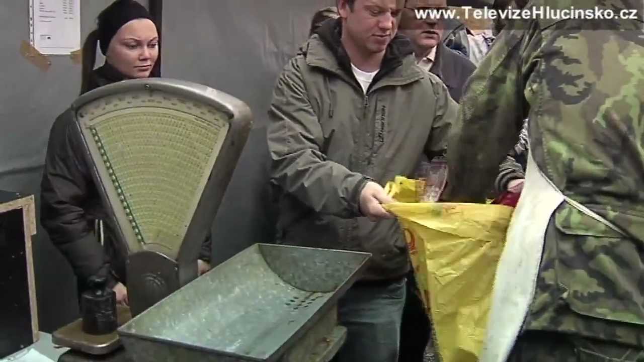 Dolní Benešov: výlov rybníku Nezmar (4.11.2012)