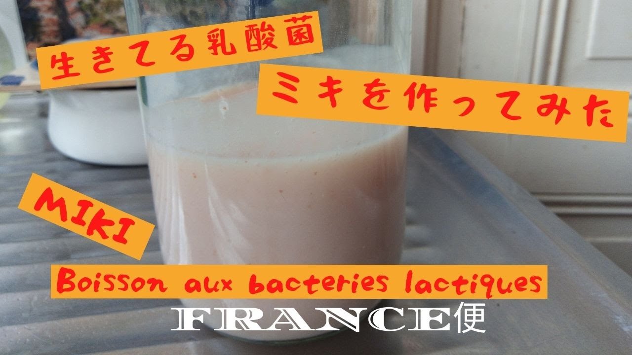 生きてる乳酸菌　ミキを作ってみた　Boisson aux bactéries lactiques　うちの台所は狭い-Table 213