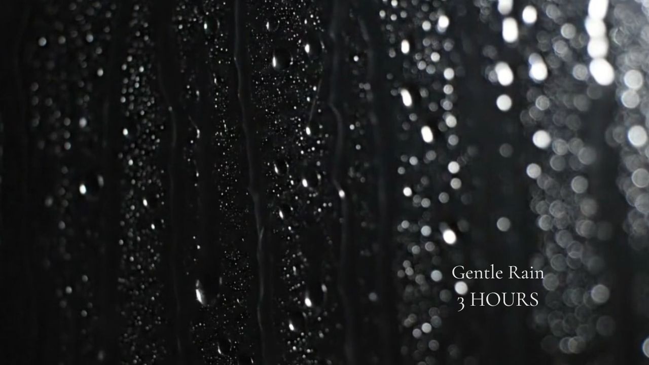 Rain Window ASMR | Gentle Rain in Total Darkness | Deep Sleep | 3 Hours #81