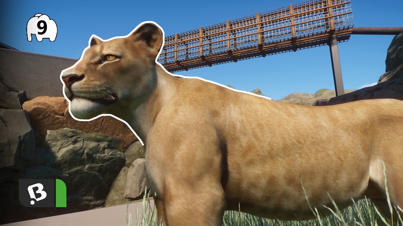 Pavilon funguje, ale most nefunguje | Planet ZOO #9