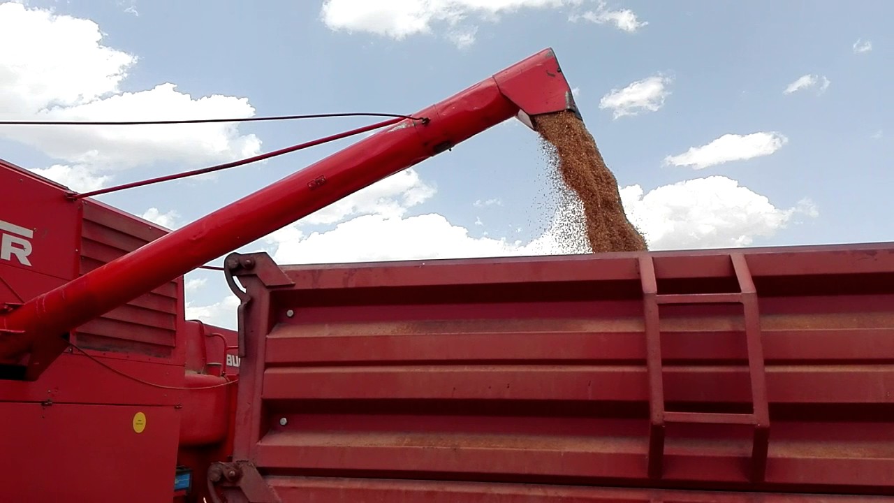 Zetva 2017 FAHR M1102